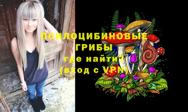 прущая мука Абаза